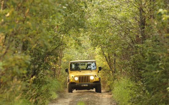 Jeep Safari in Kanthaloor