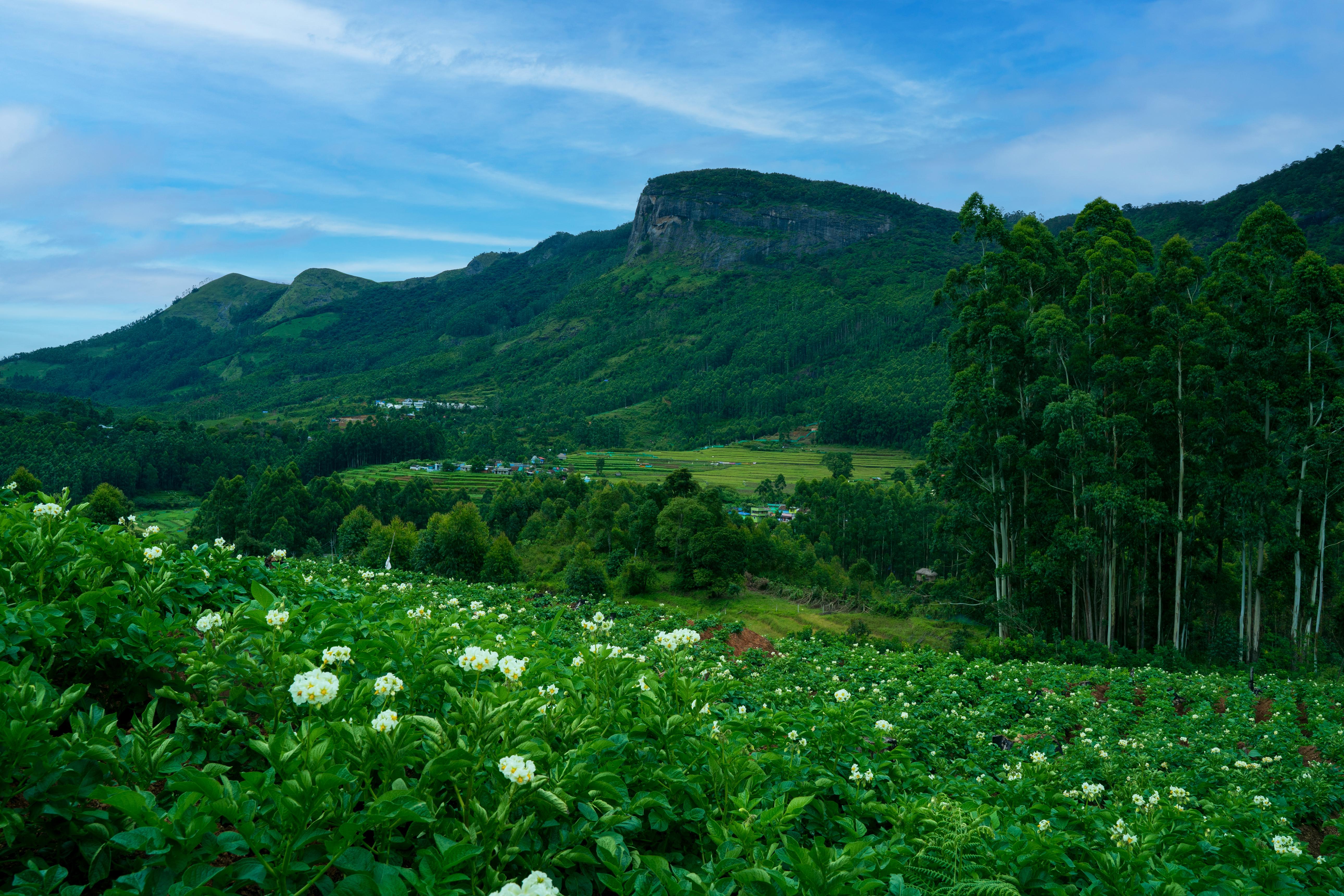 Tourist Attractions Kanthaloor
